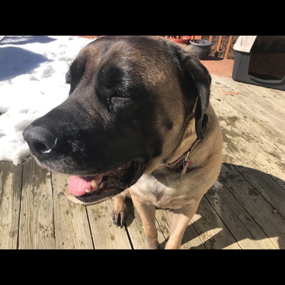 Meet your Posher, Michelle-lynn